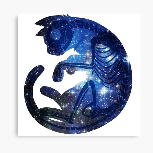 Star Cat Canvas Print