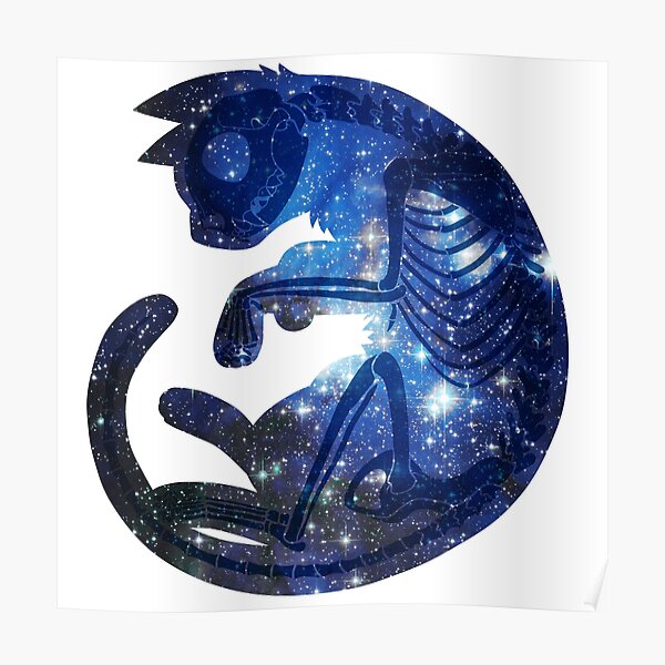 Star Cat Poster