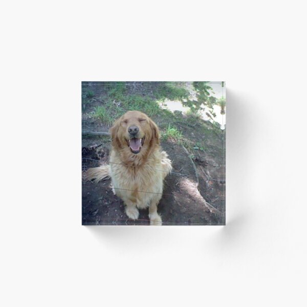 Item preview, Happy Golden Retriever  designed and sold by Zeldamushroom21.