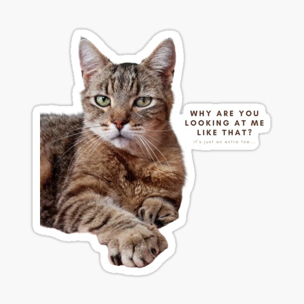 Item preview, Polydactyl Cat Extra Toe designed and sold by TeeKid.