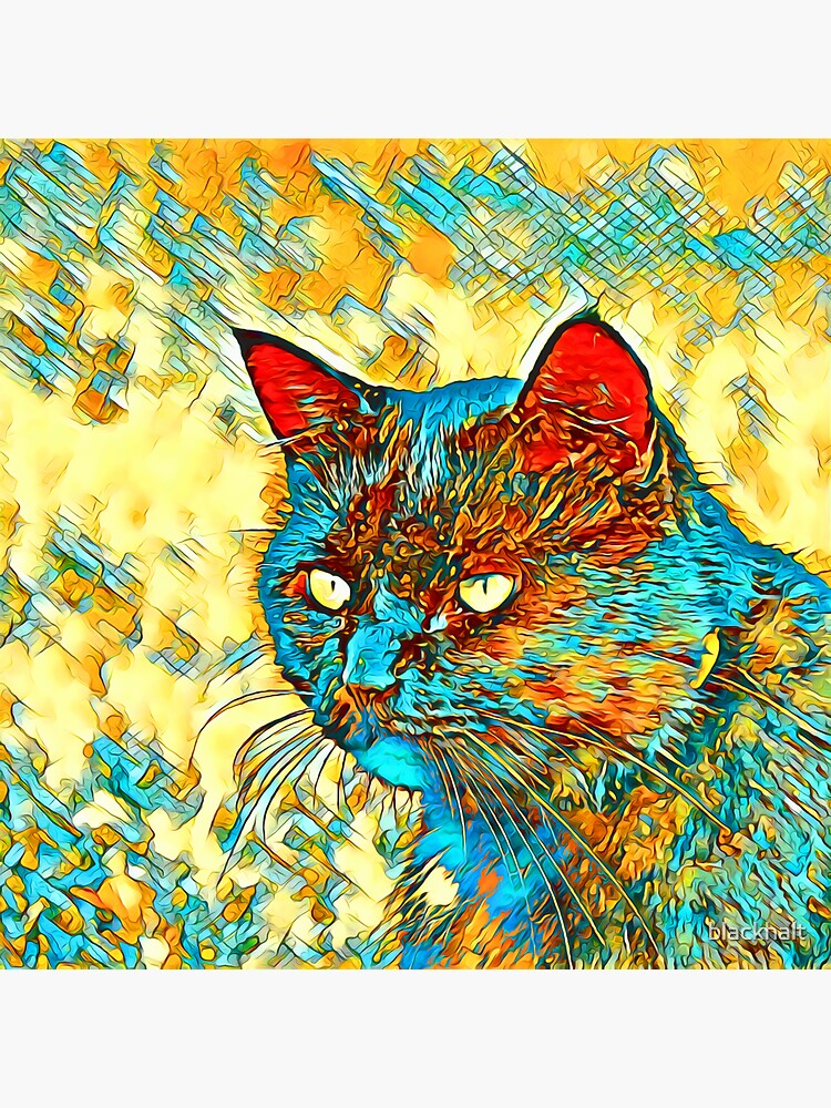 Catus by blackhalt