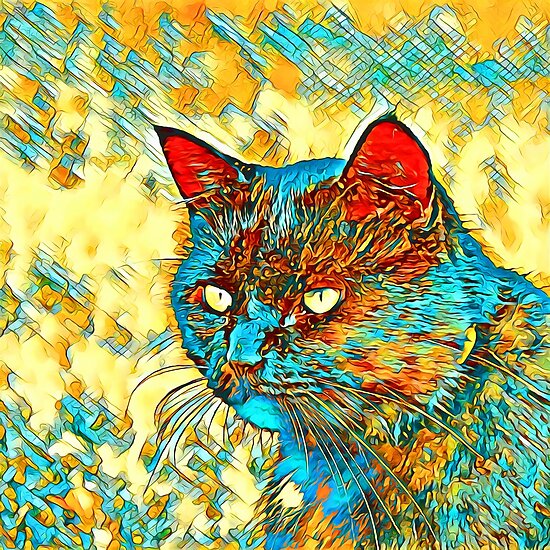 Catus