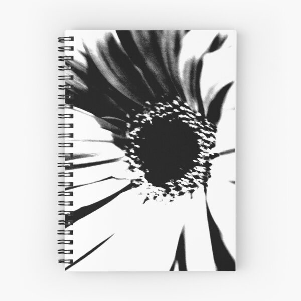 Artikelvorschau, Schwarzer Gerbera entworfen und verkauft von CreativeShelf.