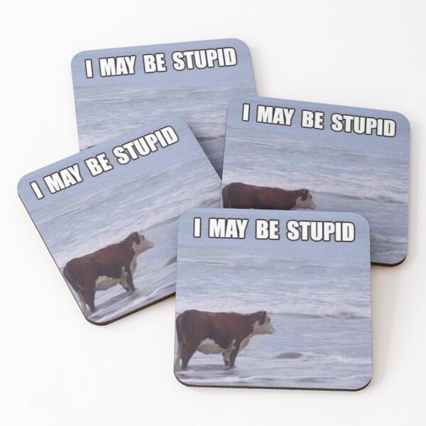 Item preview, I may be stupid. designed and sold by Art-d0rk.