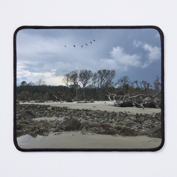Item preview, Jekyll Island Boneyard Beach designed and sold by BeachBumFamily.