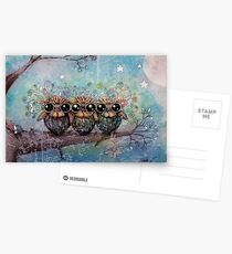 three little night owls Postcards