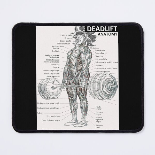 Item preview, Deadlift Muscle Chart Anatomy Diagram Anime Gym Motivational Active T-Shirt designed and sold by monica45je.