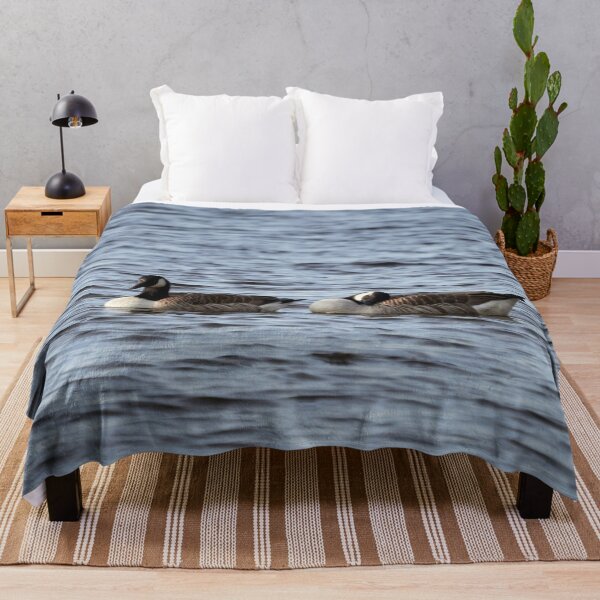 Item preview, Sweet dreams baby. Canada goose designed and sold by Jouko Lehto Photography.