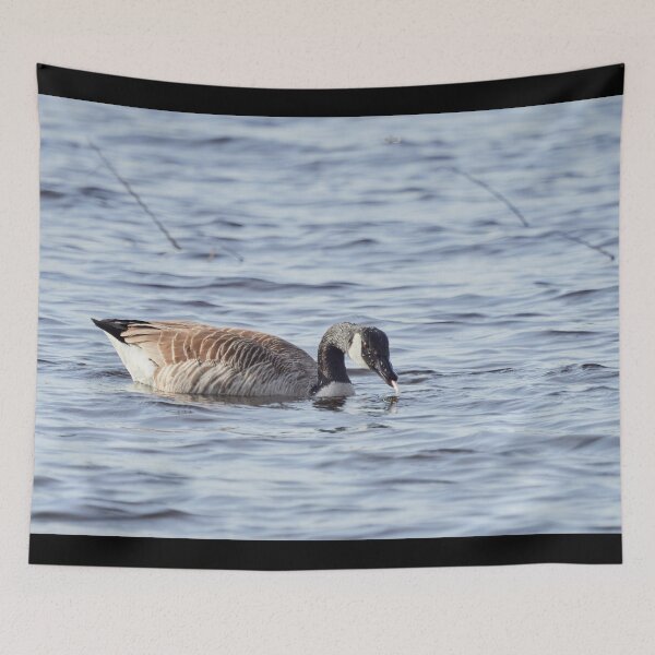 Item preview, No smoking please. Canada goose designed and sold by Jouko Lehto Photography.