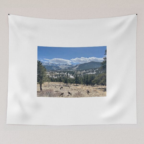 Item preview, Rocky Mountain National Park designed and sold by BeachBumFamily.