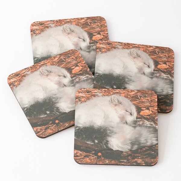 Item preview, Arctic Fox Sleeping designed and sold by missmermaid1990.