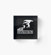 Skyrim Evolution Acrylic Block
