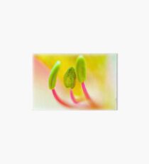 Stamens Art Board