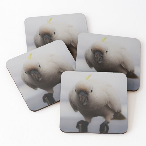 Item preview, Cockatoo Ready  To Pounce designed and sold by Annalucia.