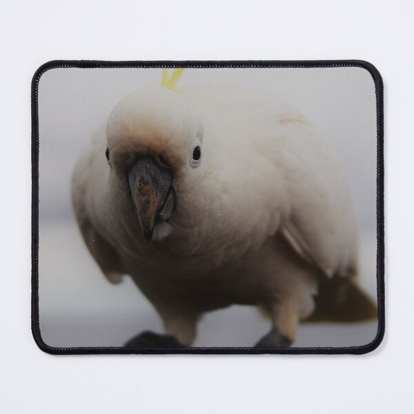 Item preview, Cockatoo Ready To Pounce designed and sold by Annalucia.