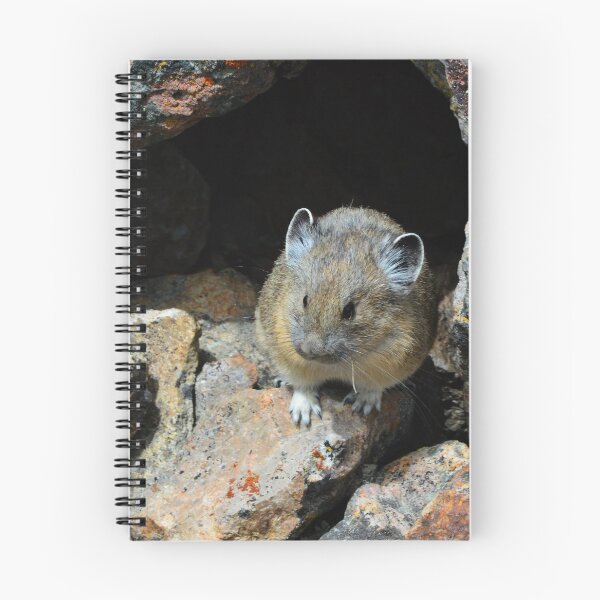 Item preview, pika in the rocks designed and sold by grizzbass.
