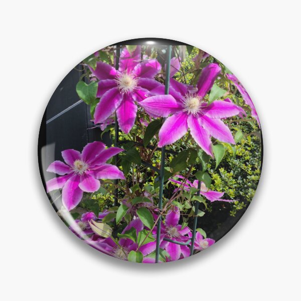 Item preview, Clematis Flowers designed and sold by Twittlefish.