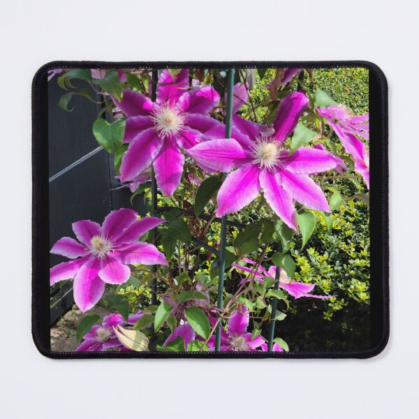 Item preview, Clematis Flowers designed and sold by Twittlefish.