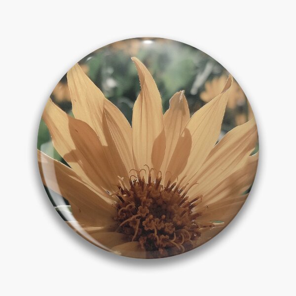 Artikelvorschau, Okanagan-Sonnenblume entworfen und verkauft von Crushonnature.