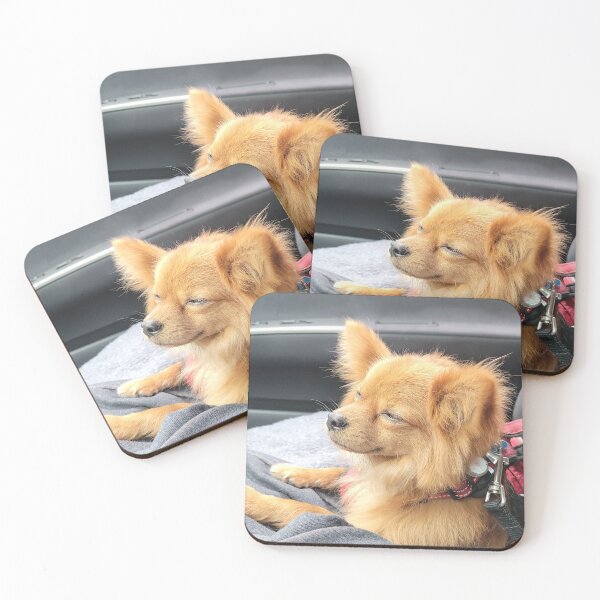 Item preview, Roo in his "ZEN" after the doggie spa designed and sold by leih2008.