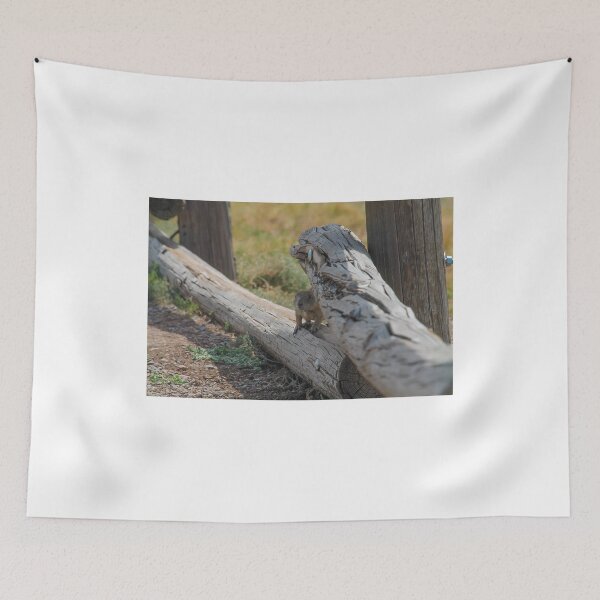 Item preview, Lookout designed and sold by Storm91.