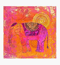 Happy Elephant II Photographic Print