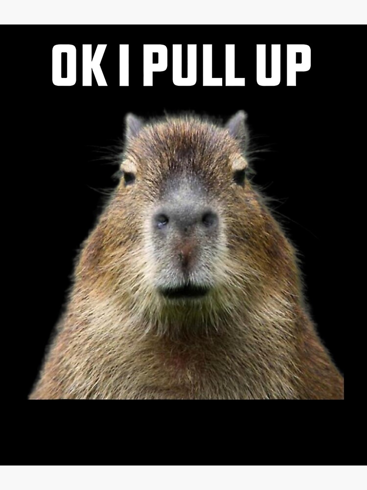 Capybara Funny