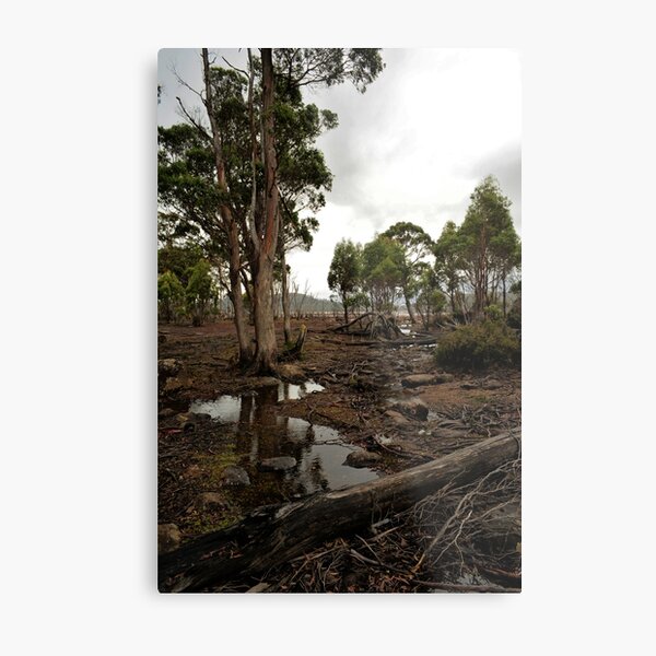 Item preview, Lake King William Mudflats  designed and sold by Anthony Davey.