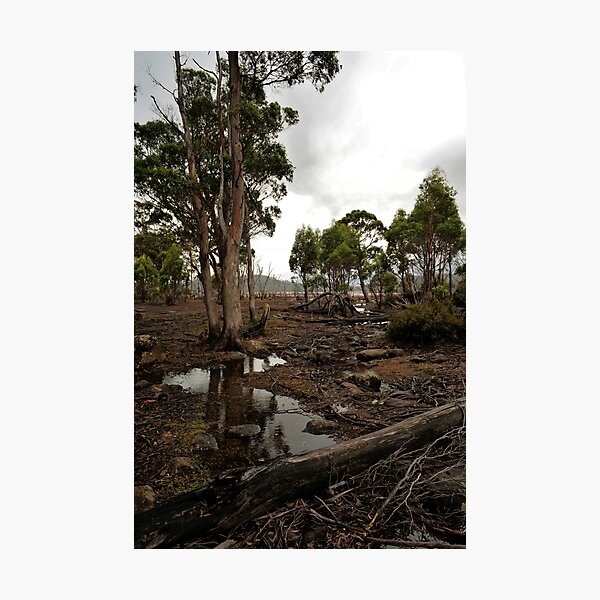 Item preview, Lake King William Mudflats  designed and sold by Anthony Davey.