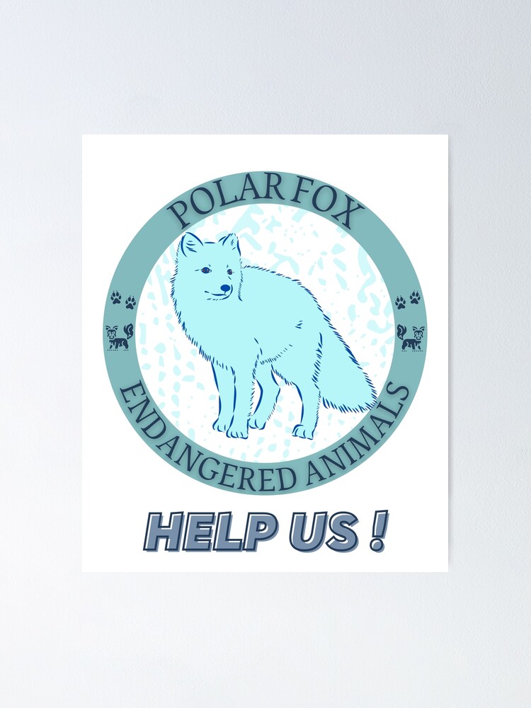 " Polar Fox" Poster for Sale by yassooarts | Redbubble