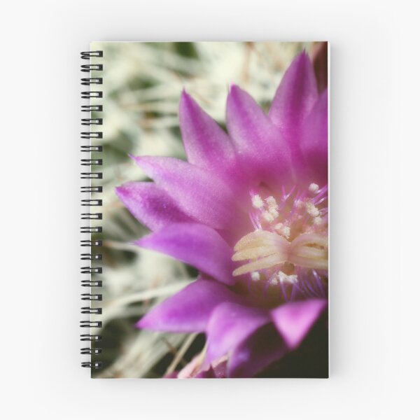 Item preview, cactus flower designed and sold by Spondylus.
