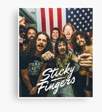 stick usa Canvas Print