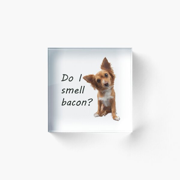 Item preview, Cute Dog:- Do I smell bacon? designed and sold by 4x4Life.