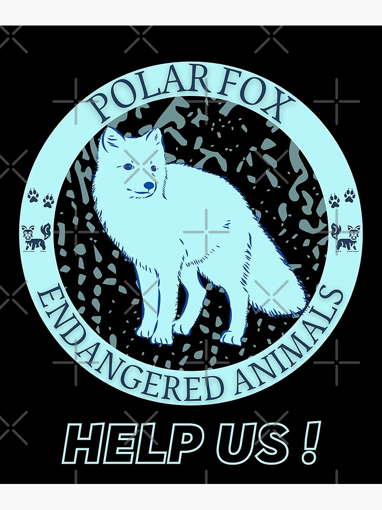 " Polar Fox" Poster for Sale by yassooarts | Redbubble