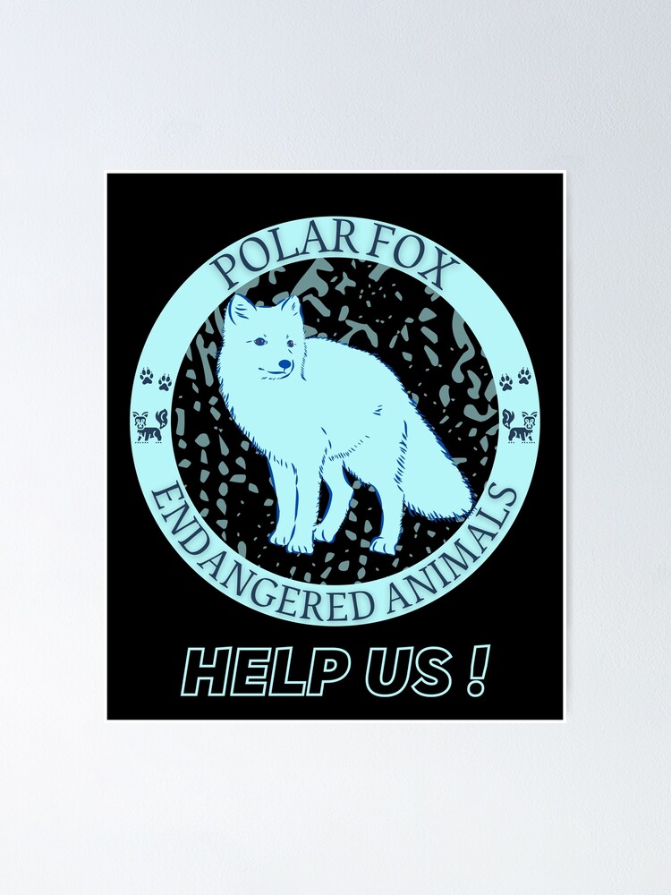 " Polar Fox" Poster for Sale by yassooarts | Redbubble