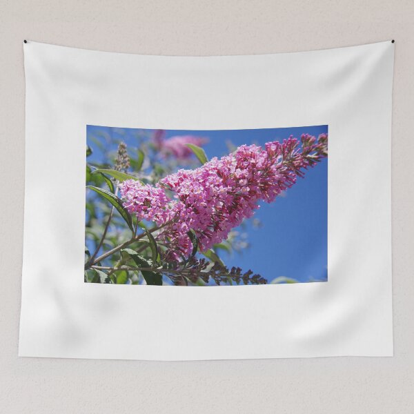 Item preview, Buddleia in Flower designed and sold by davidjc.