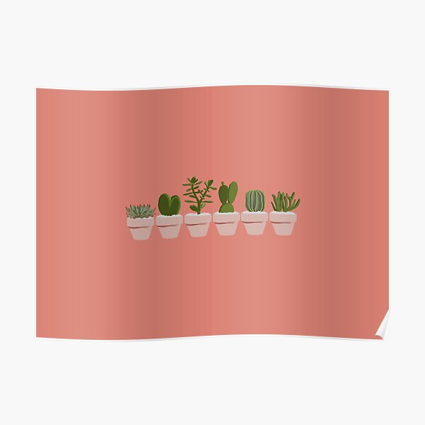 Cacti & Succulent Poster