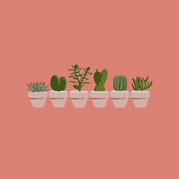 Artwork thumbnail, Cacti & Succulent by crumpsticks