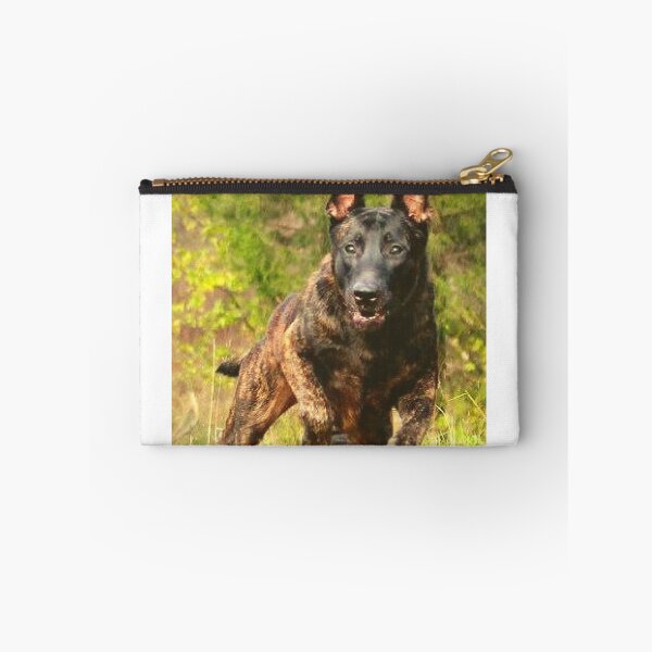 Item preview, strong belgian shepherd malinois dog designed and sold by mikoala50.