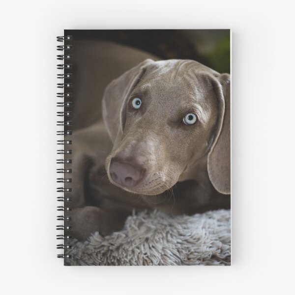 Item preview, Denver  designed and sold by lauragatesphoto.