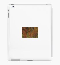 Pretzels iPad Case/Skin
