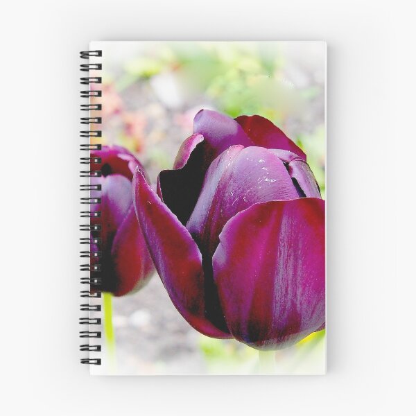 Item preview, Dark Tulips.............Dorset UK designed and sold by lynn carter.