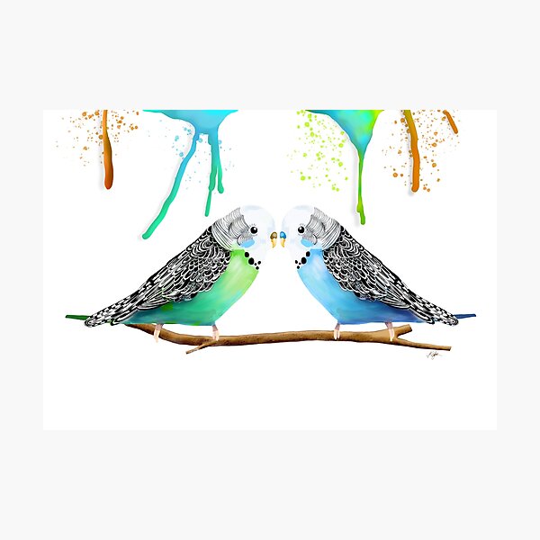 Budgie Love Photographic Print