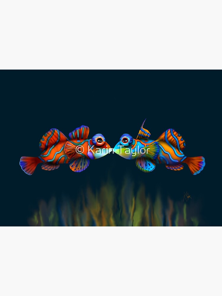 Mandarinfish by karin