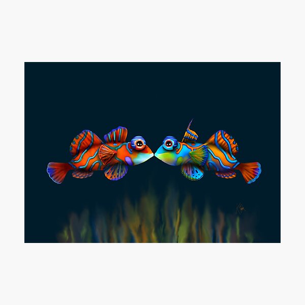 Mandarinfish Photographic Print
