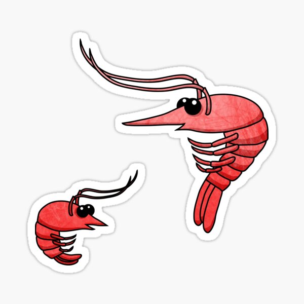 Cute Shrimps Sticker For Sale By Olooriel Redbubble