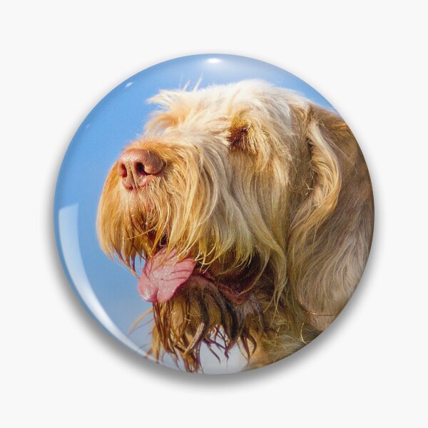 Artikelvorschau, Blauer Himmel Spinone entworfen und verkauft von FOLK ART FUSION.