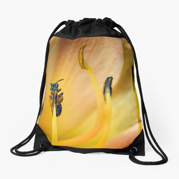 Small Black British Bee Drawstring Bag
