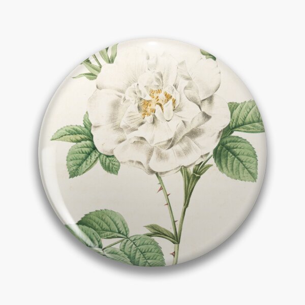 Item preview, Rosa Alba Flore Pleno designed and sold by linggalibrary.