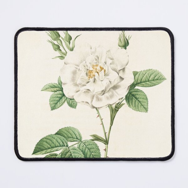 Item preview, Rosa Alba Flore Pleno designed and sold by linggalibrary.